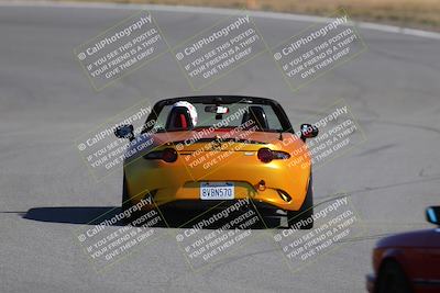 media/Nov-19-2023-Extreme Speed (Sun) [[bd0eec5490]]/Purple/Back Shots/